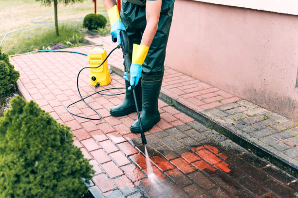 Best Roof Pressure Washing  in Louisa, KY